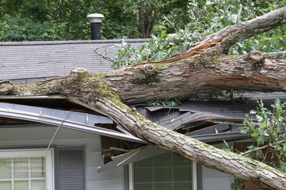 What Factors Affect Home Insurance Claims?
